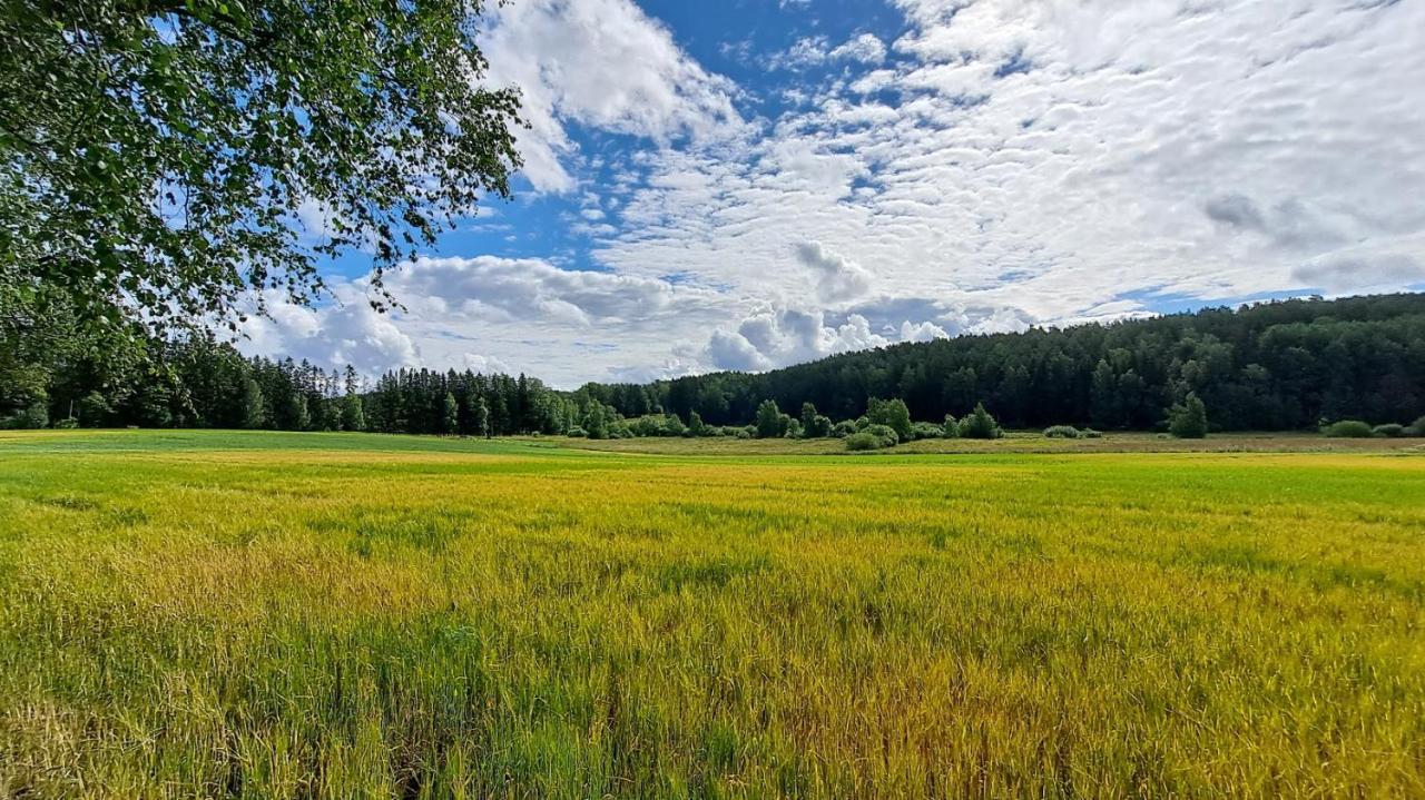 库拉斯玛丽娜度假别墅 Padasjoki 外观 照片