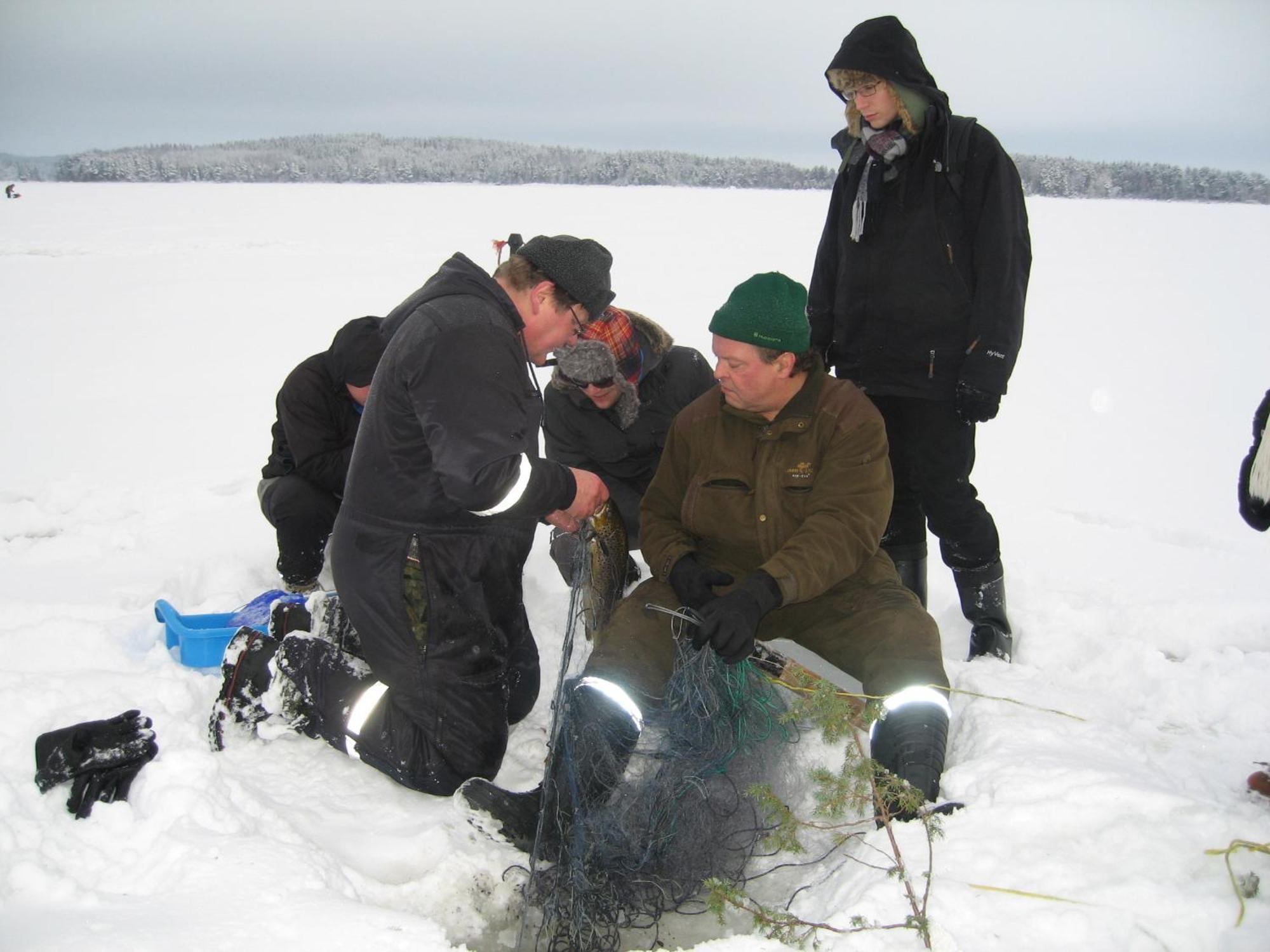 库拉斯玛丽娜度假别墅 Padasjoki 外观 照片
