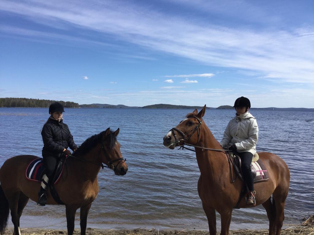 库拉斯玛丽娜度假别墅 Padasjoki 外观 照片