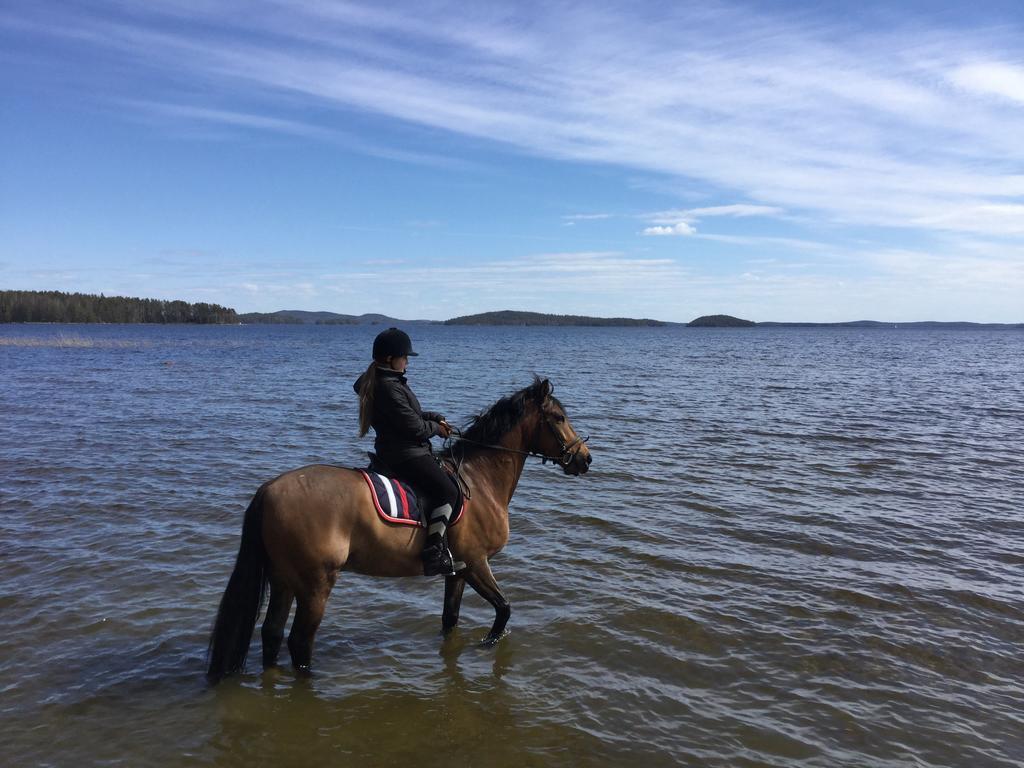 库拉斯玛丽娜度假别墅 Padasjoki 外观 照片