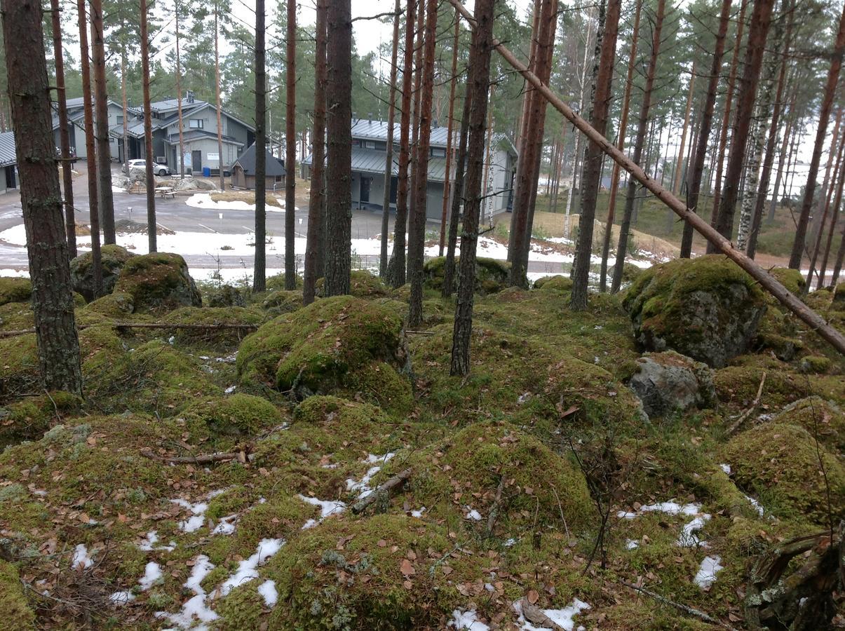 库拉斯玛丽娜度假别墅 Padasjoki 外观 照片